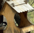 Стали известны сроки реконструкции парков Щорса и Воронежские озера в Самаре - ГТРК Самара