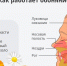27 февраля – День осведомленности об аносмии - Противотуберкулезный диспансер