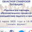 Открытие областной стажерской площадки - Центр социализации молодежи