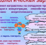 2 марта - Всемирный день психического здоровья подростков - Противотуберкулезный диспансер
