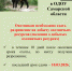 В ОДОУ Самарской области завершилась охота на кабана и пушных животных! - Департамент охоты и рыболовства