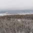 В Самарской области 10 марта прогнозируют морозы -32 °С - SamaraGIS.Ru