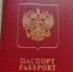Самарцам рассказали о новой схеме мошенничества с оформлением загранпаспортов - Самарская Газета