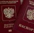 Госдума поддержала отмену записи о детях в загранпаспортах - ГТРК Самара