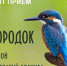 22 марта 2026 года стартует Областной эко-конкурс "Зимородок" - НИА Самара
