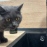 13 улиц Самары временно останутся без холодной воды 23 марта - ГТРК Самара