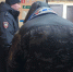 Задержанный полицейскими таксист обвиняется в мошенничестве - ГУ МВД Самарской области