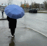 Начало апреля в Самарской области будет дождливым - Волга Ньюс