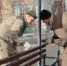 Городской марафон чистоты в Самаре начнется 1 апреля - Волга Ньюс