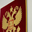 Чемпионку мира уволили с должности директора спортшколы в Самаре - ГТРК Самара
