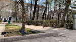 Самарцев приглашают зарегистрироваться на общегородские субботники 18 и 25 апреля