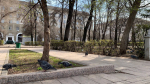 Самарцев приглашают зарегистрироваться на общегородские субботники 18 и 25 апреля