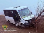 В Хворостянском районе в кювет съехал рейсовый автобус с 12 пассажирами