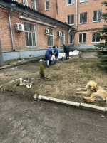 А у нас субботник!