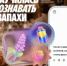Алиса AI стала первой нейросетью, которая научилась распознавать запахи по фото - НИА Самара