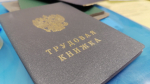 Депутаты хотят закрепить приоритет россиян при трудоустройстве