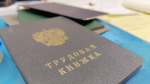 Депутаты хотят закрепить приоритет россиян при трудоустройстве
