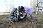 Иван Носков: "Нам важны не формальности, а чистота и порядок в городе"