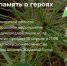 В 2026 году дан старт седьмому сезону международной акции «Сад памяти», которая проходит с 2020 года по поручению президента РФ Владимира Путина, а также в поддержку нацпроекта «Экологическое благополучие».  - НИА Самара