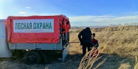 В Самарской области возле Похвистнево потушили третий лесной пожар за неделю - Комсомольская Правда Самара