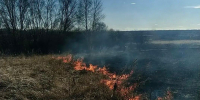 Возле Похвистневского лесничества огнеборцы тушили пожар - Волга Ньюс