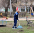 Городские парки Самары обработают от клещей - Самарская Газета