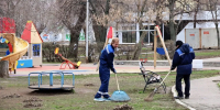 Городские парки Самары обработают от клещей - Самарская Газета