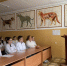 You are viewing the image with filename 1000056880.jpg - Самарский ГАУ