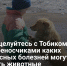Не целуйтесь с Тобиком. Переносчиками каких опасных болезней могут быть животные - Самарская Газета