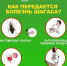 14 апреля – Всемирный день борьбы с болезнью Шагаса - Противотуберкулезный диспансер