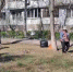 Жители Промышленного района Самары вышли на уборку города - SamaraGIS.Ru