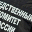 Бастрыкин взял под свой контроль дело пропажи девочки в Самарской области - ProGorodSamara.Ru