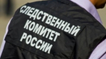 Бастрыкин взял под свой контроль дело пропажи девочки в Самарской области