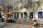 В апреле в Самаре высадят порядка 800 деревьев
