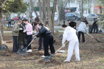 40 тысяч самарцев приняли участие в первом общегородском субботнике