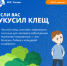 В период активности клещей следует быть максимально осторожными во время прогулок и соблюдать основные правила безопасности. - НИА Самара