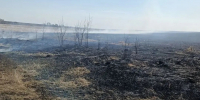 В выходные в Кинель-Черкасском районе горели трава и мусор - Центр по делам гражданской обороны, пожарной безопасности и чрезвычайным ситуациям