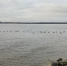 С 24 апреля в Самарской области вводится новое расписание речных перевозок - ГТРК Самара
