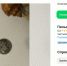 Самарцам предлагают купить древнюю римскую монету за 5,1 млн рублей - ГТРК Самара