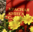 В Красную книгу региона занесены такие растения, как прострел раскрытый (сон-трава) и прострел луговой, желтоцвет весенний и волжский (известные как горицвет или адонис), нежные ветреницы алтайская и волжская, рябчик русский, тюльпаны Биберштейна и Шренка - НИА Самара