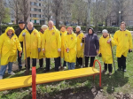 В Тольятти дружно провели субботник
