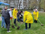 В Тольятти дружно провели субботник