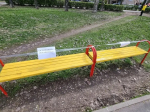 В Тольятти дружно провели субботник