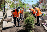 В Самаре на Ленинградской высадят более 30 тыс. растений