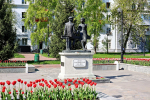 Более 30 тысяч растений украсят пешеходную улицу Самары