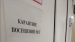 Самарцам рассказали, чем опасен хантавирус и по каким симптомам его можно распознать