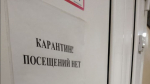 Самарцам рассказали, чем опасен хантавирус и по каким симптомам его можно распознать