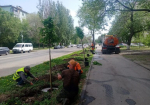 В Самаре на Мориса Тореза высаживают 75 мелколистных лип