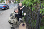 Общегородской субботник в Самаре прошел на 15 территориях