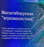You are viewing the image with filename 5.jpg